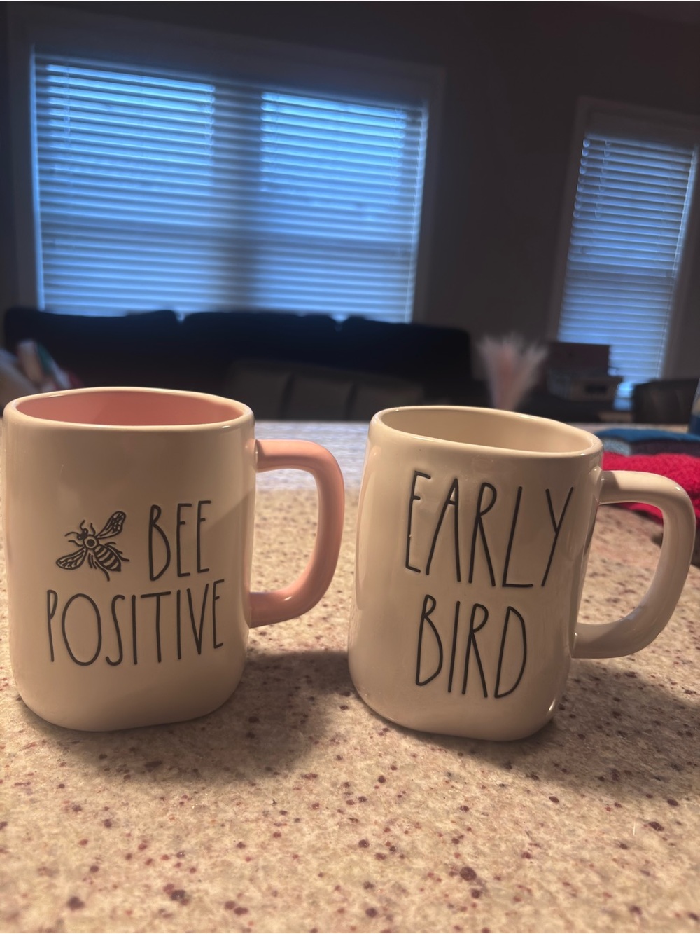 Rae Dunn Bee Positive + Early Bird Mug Set of 2 | Artisan Collection